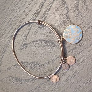 Alex and Ani Wild and Free Bracelet